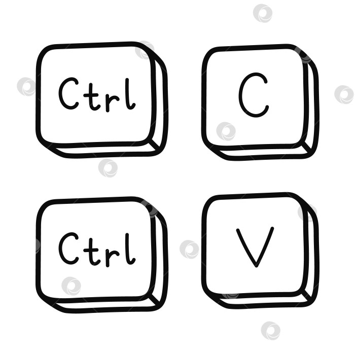 Скачать Симпатичные каракули на клавишах клавиатуры Ctrl C и Ctrl V. Скопируйте и вставьте сочетания клавиш для ПК, компьютера и ноутбука. Комбинация клавиш для вставки текста, изображений. Нарисованный от руки клипарт, выделенный на белом фоне контуром. фотосток Ozero