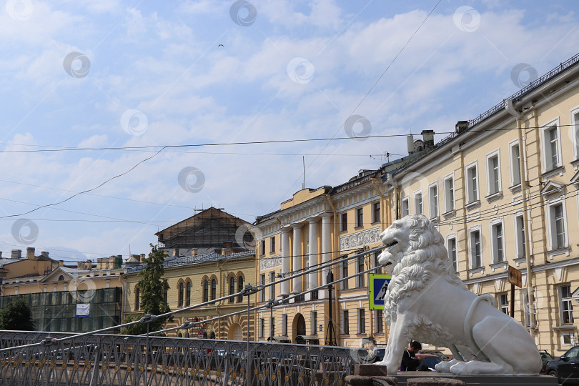 Скачать Россия, Санкт-Петербург, 1 июля 2019 года. Львы на Львином мосту. На фото львы на Львином мосту через канал Грибоедова, которые являются архитектурными достопримечательностями города Санкт-Петербурга фотосток Ozero