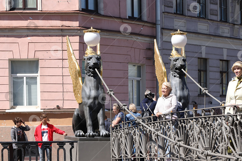 Скачать Россия, Петербург, 29 июня 2019 года. Крылатые львы на Банковском мосту. Грифоны на набережной моста через реку Фонтанку и туристы, восхищающиеся архитектурой. Согласно легенде, они охраняют золотые сокровища, и те, кто прикоснется к ним, станут богатыми фотосток Ozero