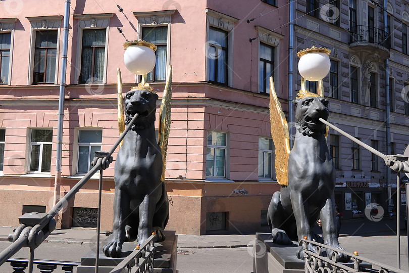 Скачать Россия, Петербург, 29 июня 2019 года. Крылатые львы на Банковском мосту. Грифоны на Банковском мосту через реку Фонтанку, фотосток Ozero