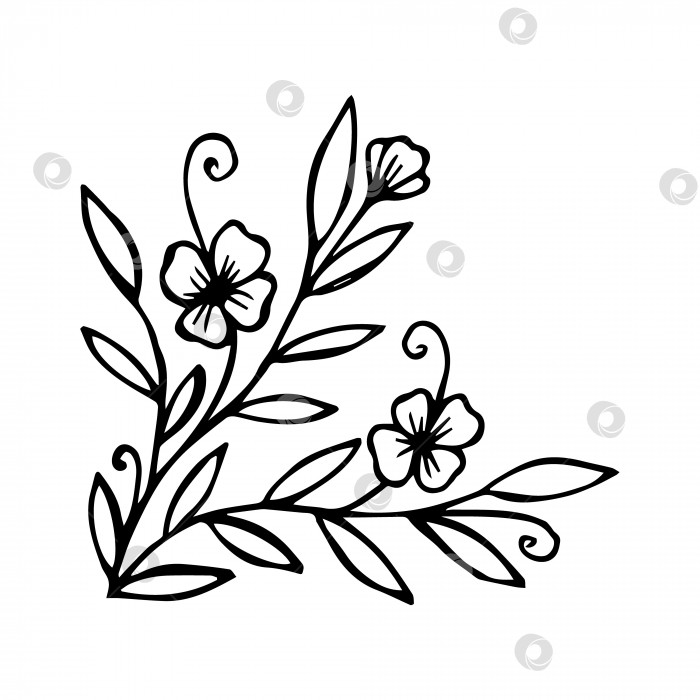Скачать Нарисованный от руки цветок - отдельный элемент для раскрашивания, черно-белое векторное изображение фотосток Ozero