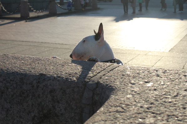[object Object] undefined