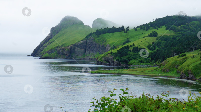 Скачать Зеленые скалы и бухта Курильских островов. Шикотан. фотосток Ozero