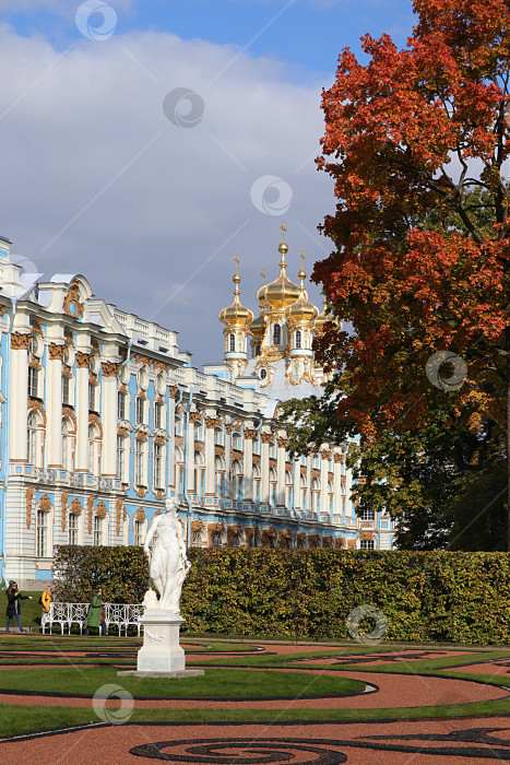 Скачать Россия, Санкт-Петербург, 28 сентября 2019 года, Екатерининский парк. На фото Екатерининский дворец в Царском Селе на фоне осеннего парка с красными листьями фотосток Ozero