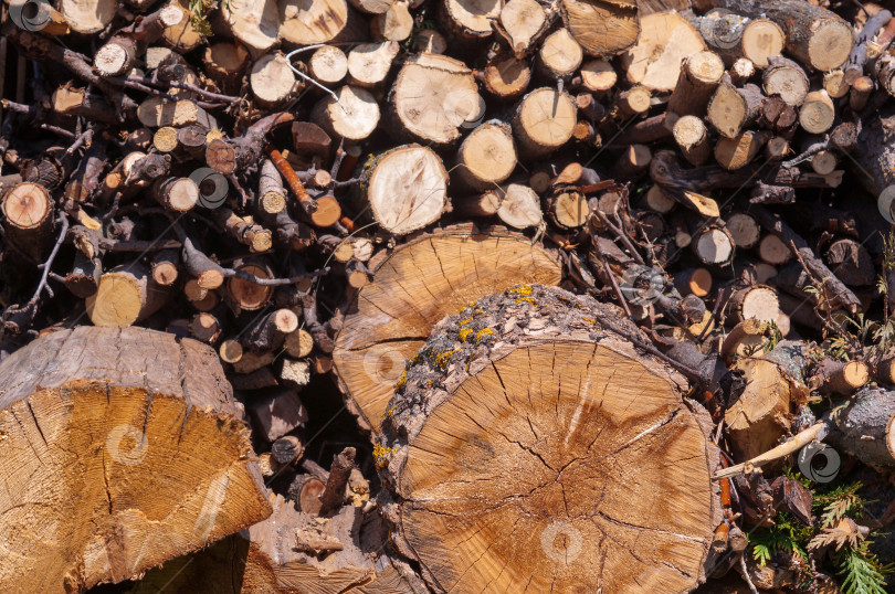 Скачать Дрова из бревен и веток фотосток Ozero