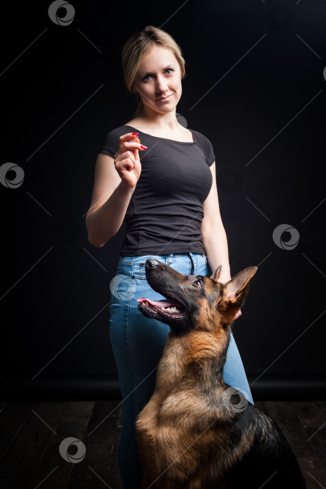 Скачать Женщина кормит щенка немецкой овчарки с рук. фотосток Ozero