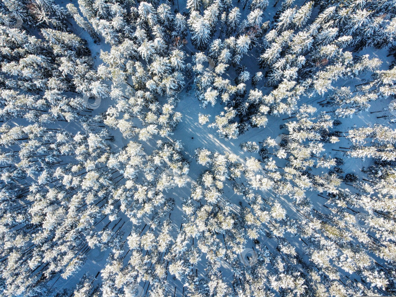 Скачать Зимний лес, вид с высоты. фотосток Ozero