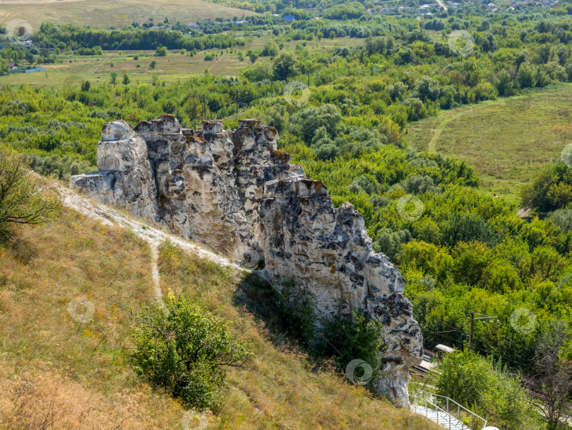 Скачать Меловые скалы на склоне плато Дивногорского заповедника фотосток Ozero