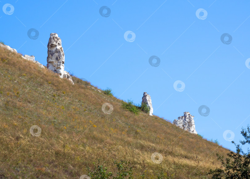 Скачать Маленькие дивы на склоне меловой сопки Дивногорского заповедника фотосток Ozero