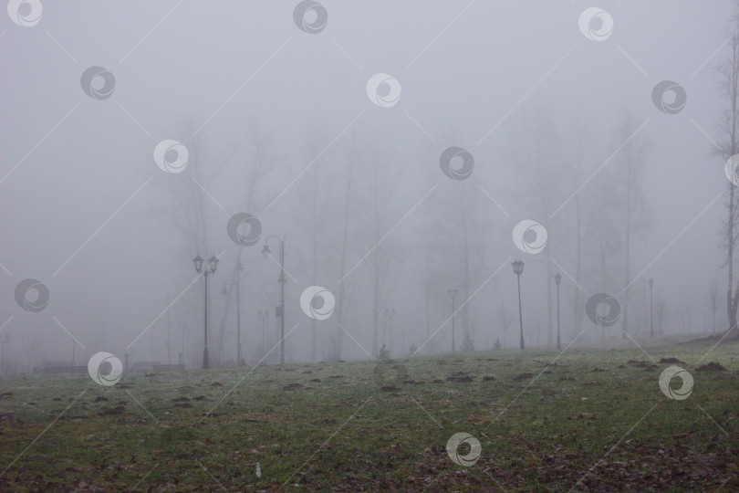 Скачать Туманный парк фотосток Ozero