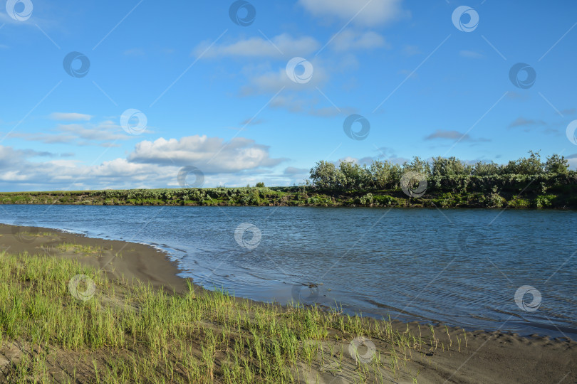 Скачать Северная река среди тундры. фотосток Ozero