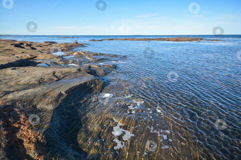 Скачать Карелия, побережье Белого моря. фотосток Ozero