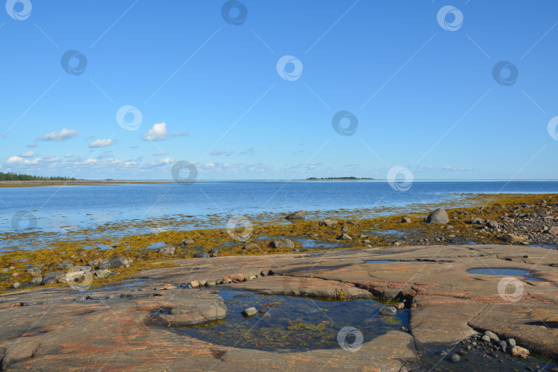 Скачать Карелия, побережье Белого моря. фотосток Ozero