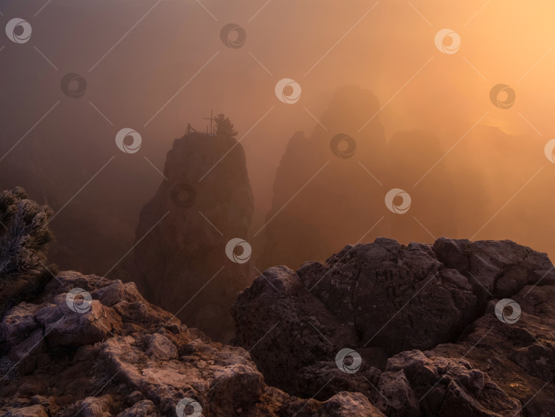 Скачать Фотография золотого часа на небольшом холме, покрытом туманом. фотосток Ozero