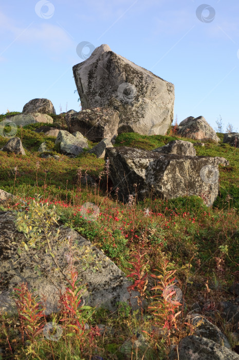 Скачать Гранитные валуны на холмах Кольского полуострова фотосток Ozero