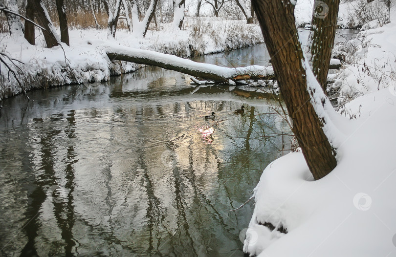 Скачать зимняя река фотосток Ozero