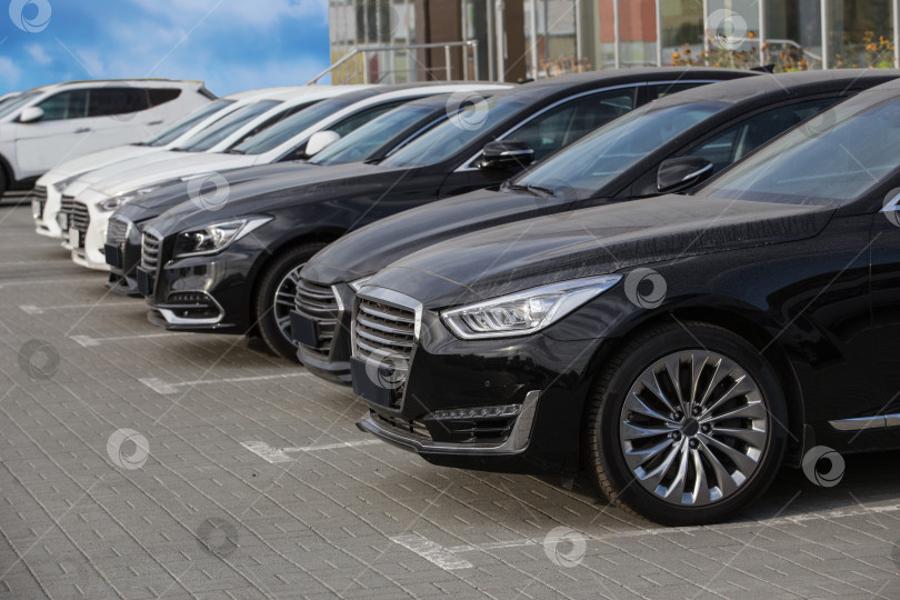 Скачать автомобили, припаркованные на стоянке автосалона фотосток Ozero