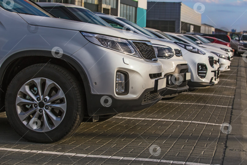 Скачать Автомобили, Выставленные на продажу, Расположены Рядом. фотосток Ozero