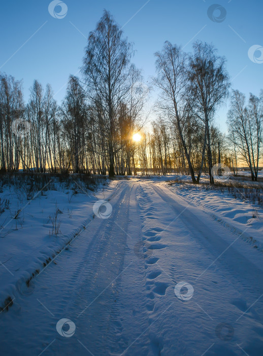 Скачать закат в зимнем лесу фотосток Ozero