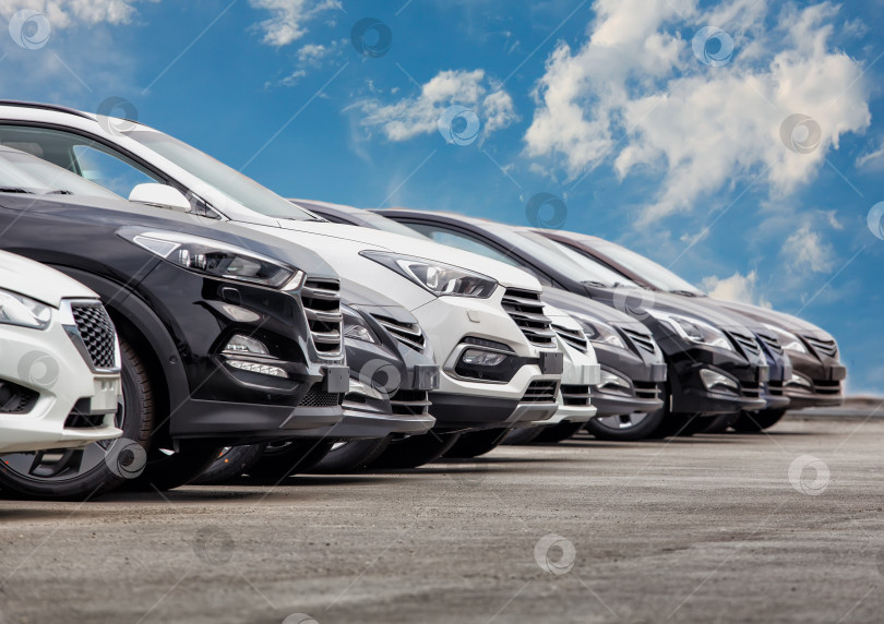 Скачать Автомобили на продажу Ряд складских партий фотосток Ozero