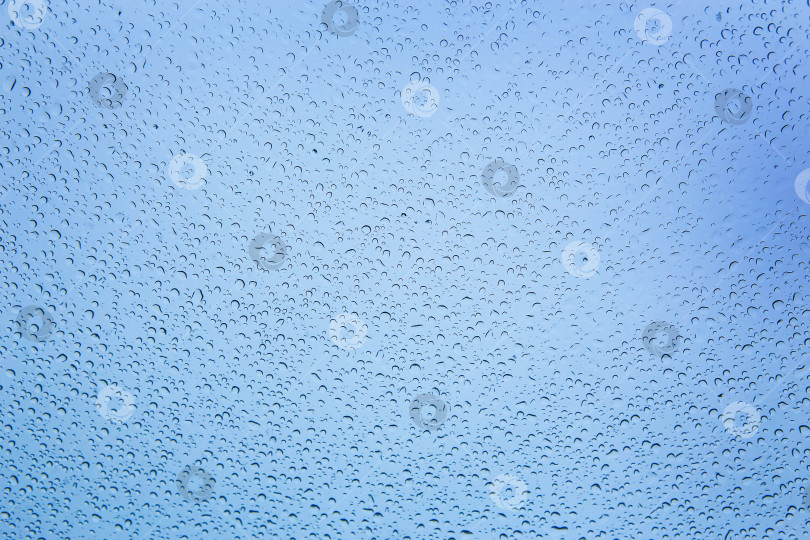 Скачать капли воды на стекле фотосток Ozero