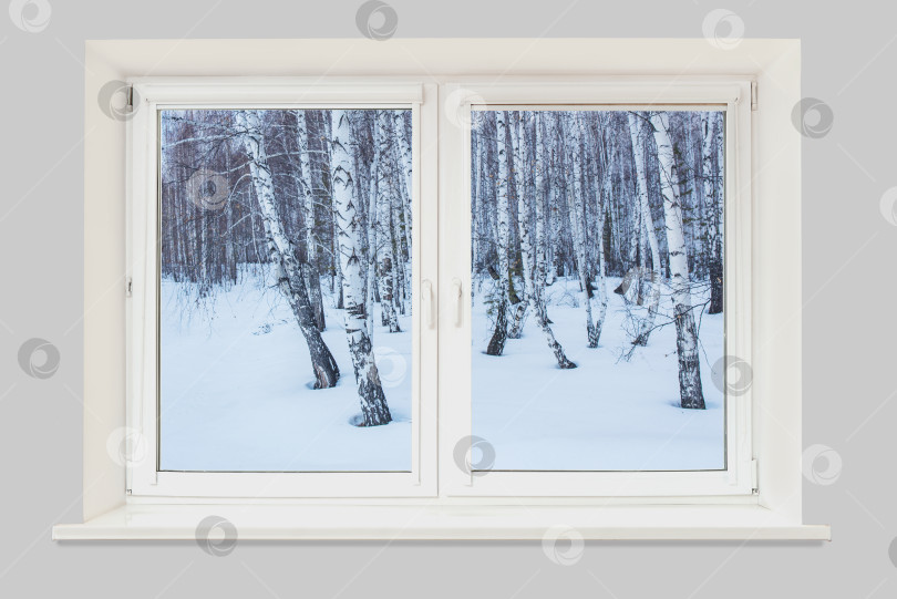 Скачать Вид из окна на зимний пейзаж фотосток Ozero