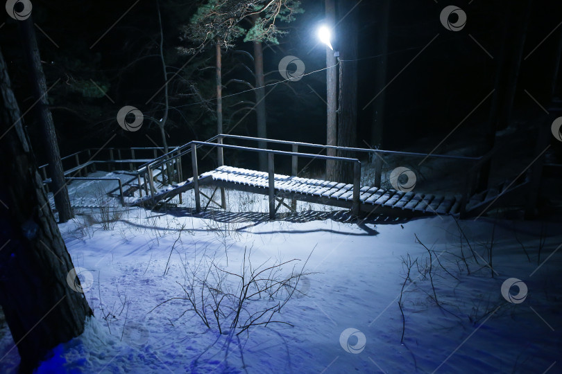 Скачать лестница в зимнем лесу ночью фотосток Ozero