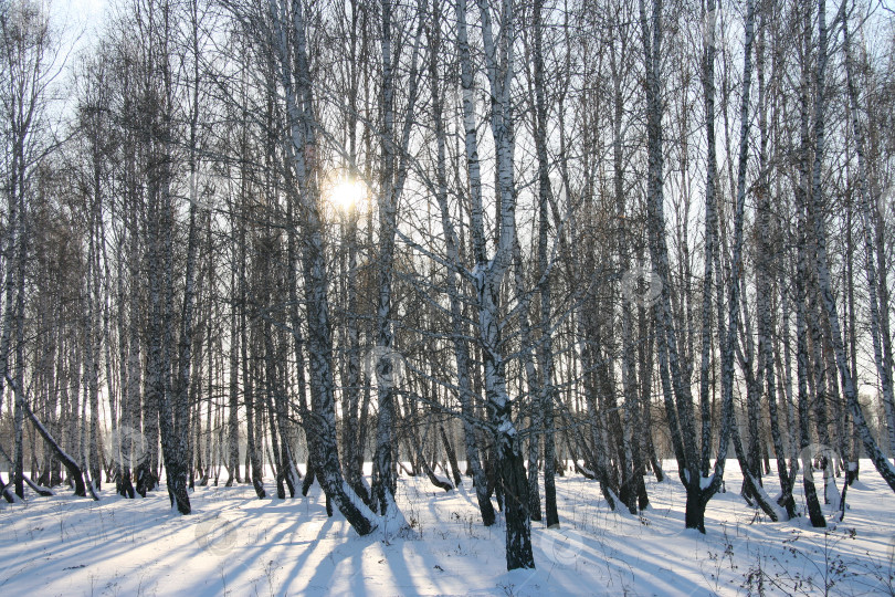 Скачать Зимний пейзаж. фотосток Ozero