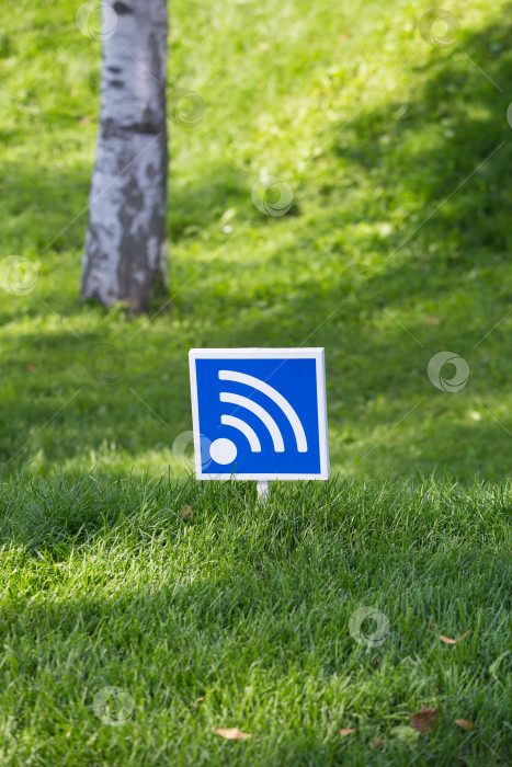 Скачать wi-fi на открытом воздухе из дерева фотосток Ozero