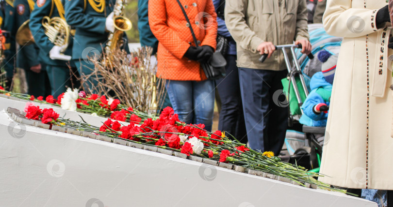 Скачать Красные гвоздики на памятнике. фотосток Ozero