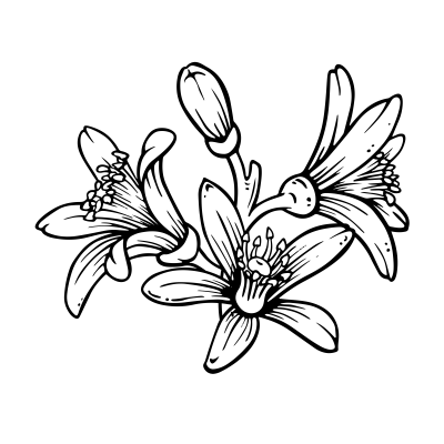 [object Object] undefined