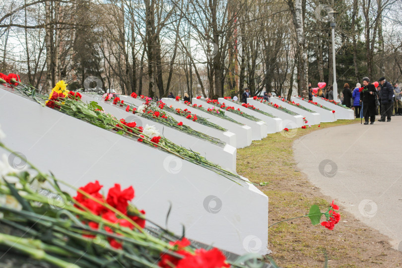 Скачать Полукруг памятных тарелок с цветами. фотосток Ozero