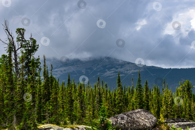 Скачать Горный пейзаж фотосток Ozero