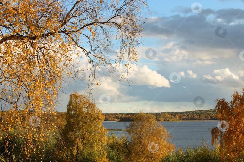 Скачать Озеро в солнечную погоду фотосток Ozero