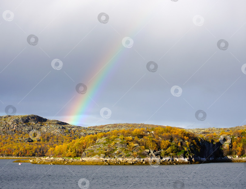 Скачать Радуга над холмами Кольского полуострова фотосток Ozero