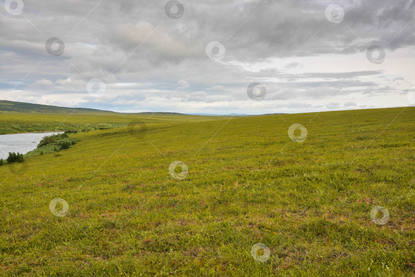 Скачать Ямальская тундра. фотосток Ozero