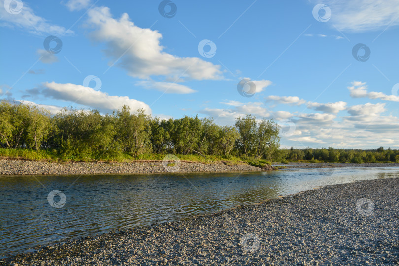 Скачать Таежная река. фотосток Ozero