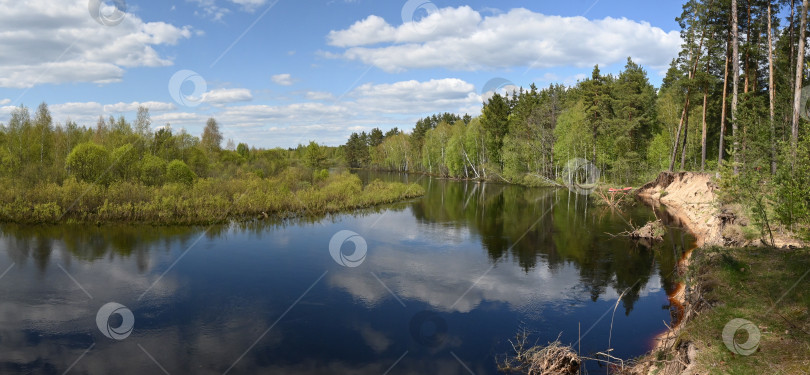 Скачать Панорама лесной реки. фотосток Ozero