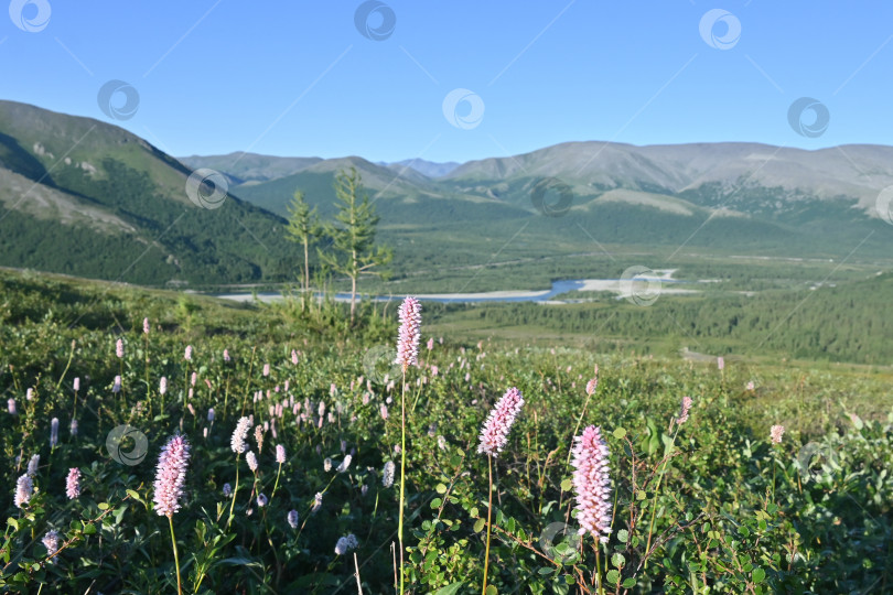 Скачать Горный пейзаж. фотосток Ozero