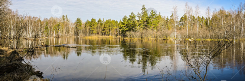 Скачать Панорама лесной реки. фотосток Ozero