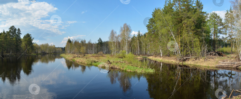 Скачать Панорама лесной реки. фотосток Ozero