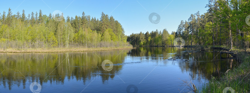 Скачать Панорама лесной реки. фотосток Ozero