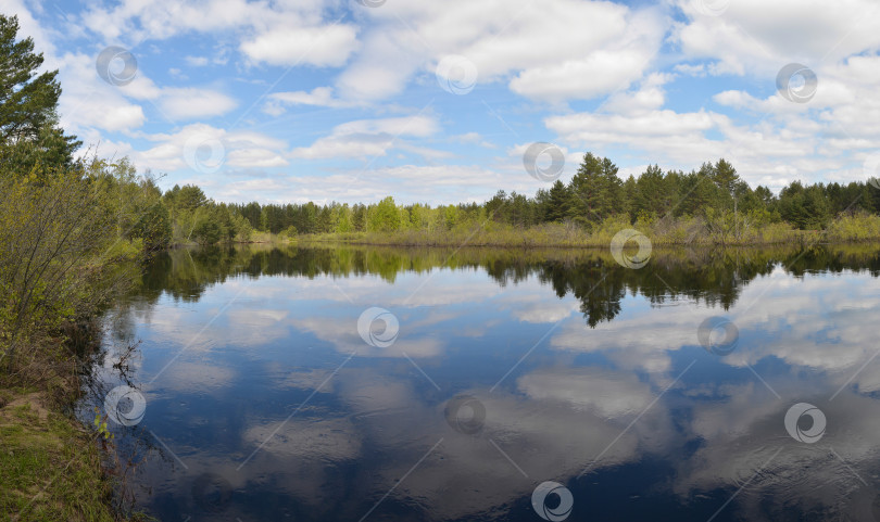 Скачать Панорама лесной реки. фотосток Ozero