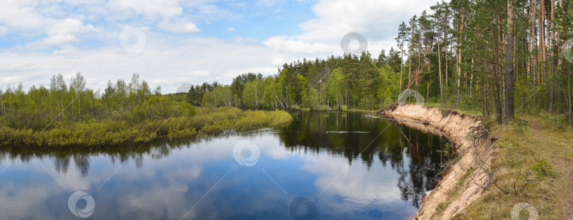 Скачать Панорама лесной реки. фотосток Ozero