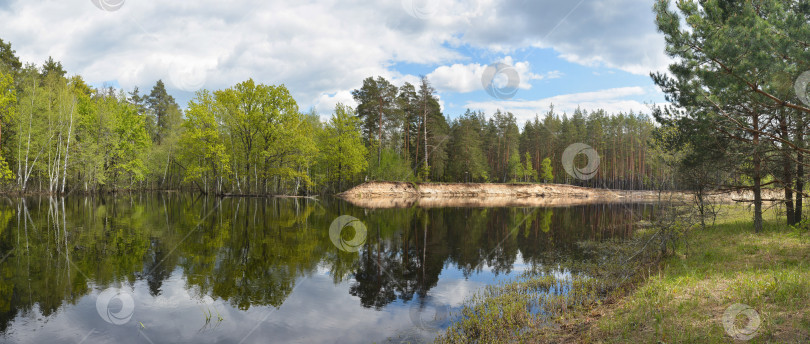 Скачать Панорама лесной реки. фотосток Ozero