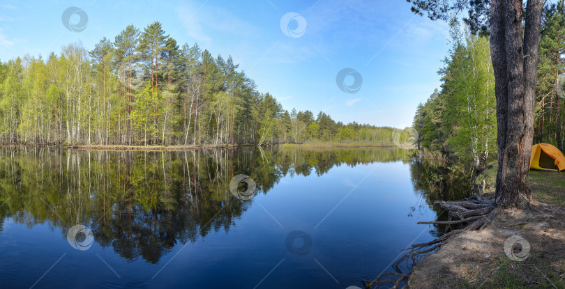 Скачать Панорама лесной реки. фотосток Ozero
