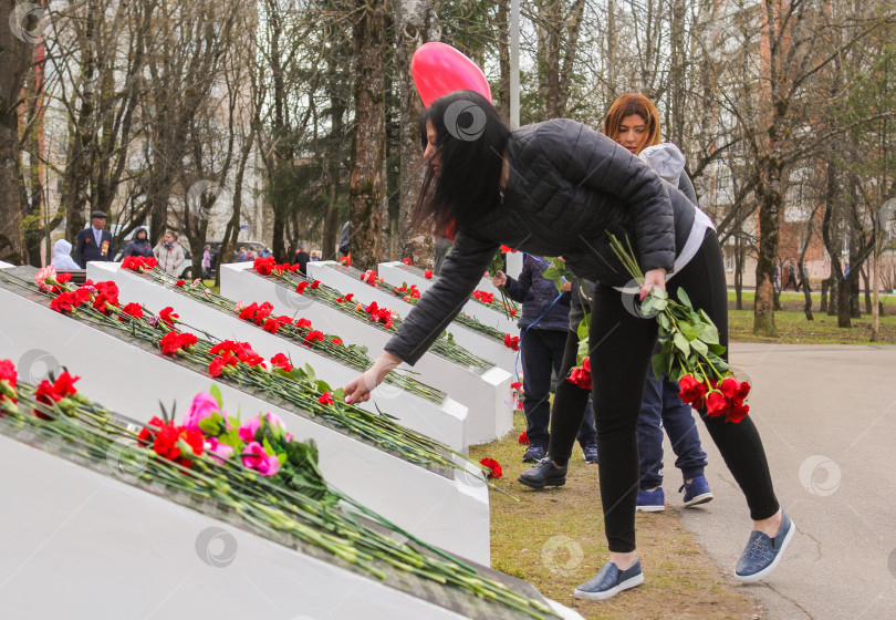 Скачать Девушки возлагают красные розы на памятники. фотосток Ozero