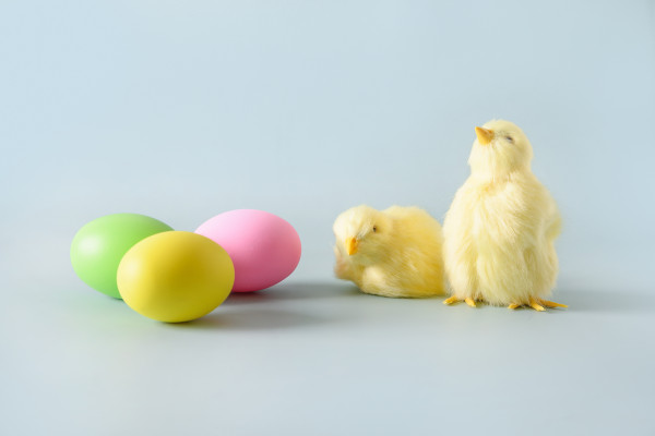 [object Object] undefined