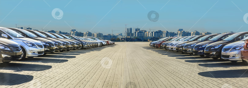 Скачать Автомобили, Выставленные на продажу, Расположены Рядом. фотосток Ozero