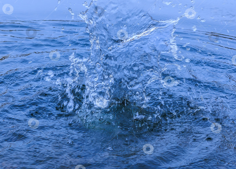 Скачать Красивый всплеск на поверхности воды фотосток Ozero